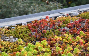 the cost of Wixhill green roof installation